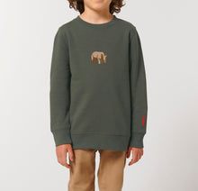 Load image into Gallery viewer, AMES SPECIAL EDITION - WHITE RHINO SWEATSHIRT / KIDS